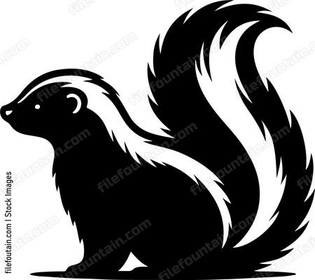 Eastern Skunk