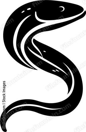 Eel