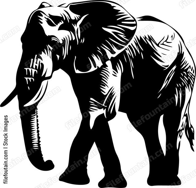 Elephant animal