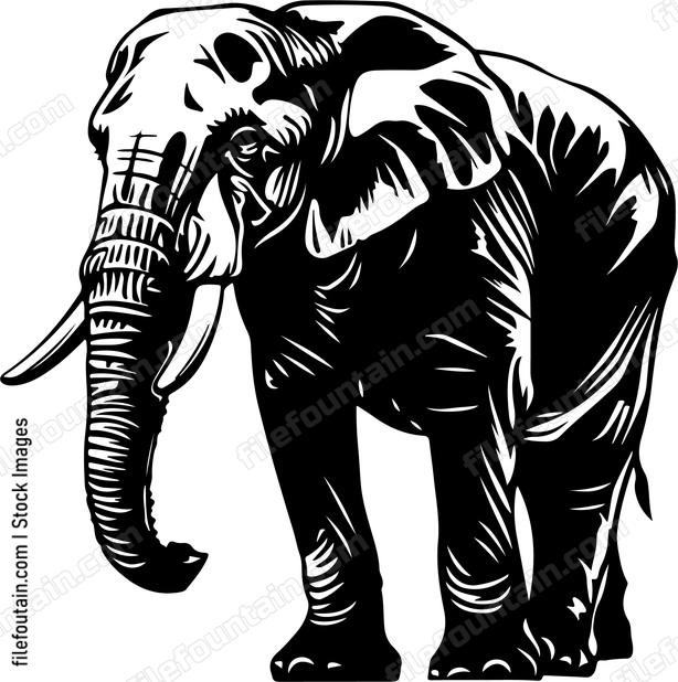 Elephant animal graphic