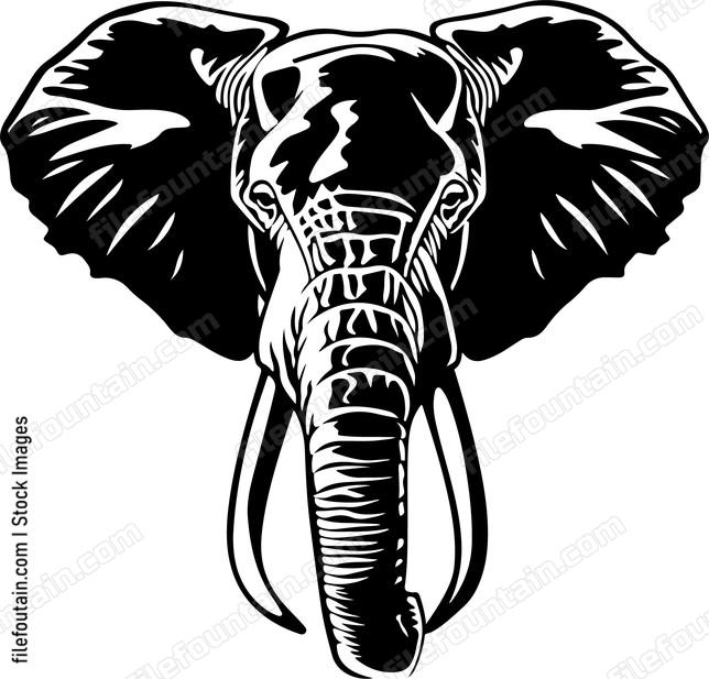 Elephant Head