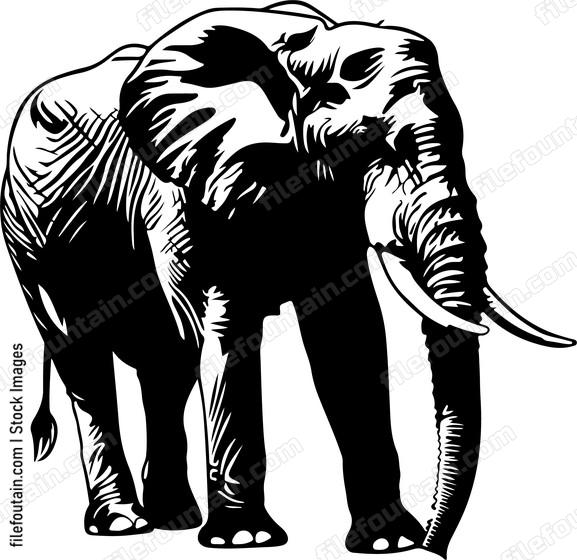 Elephant Stands