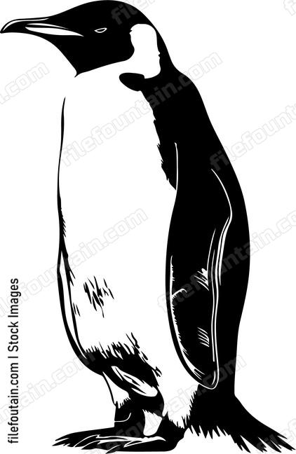 Emperor Penguin
