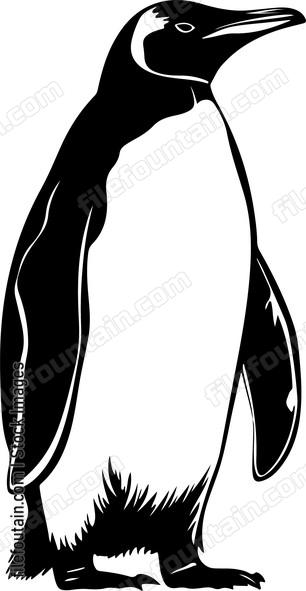 Emperor Penguin