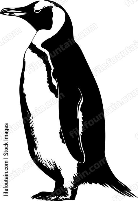 Emperor Penguin