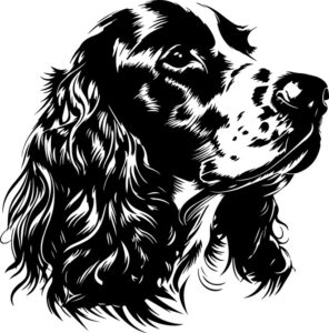 English Cocker Spaniel