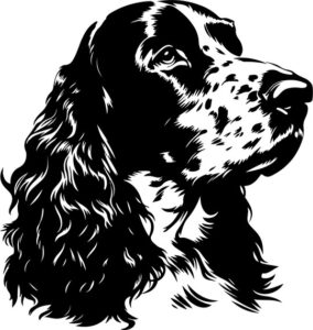 English Cocker Spaniel