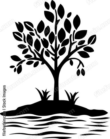 Environment