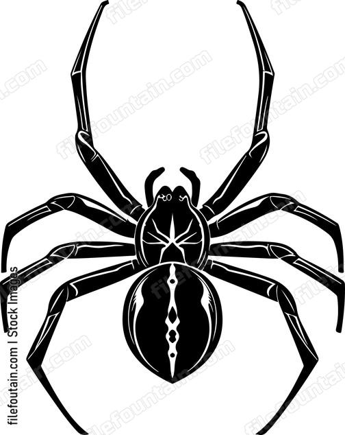 European Garden Spider