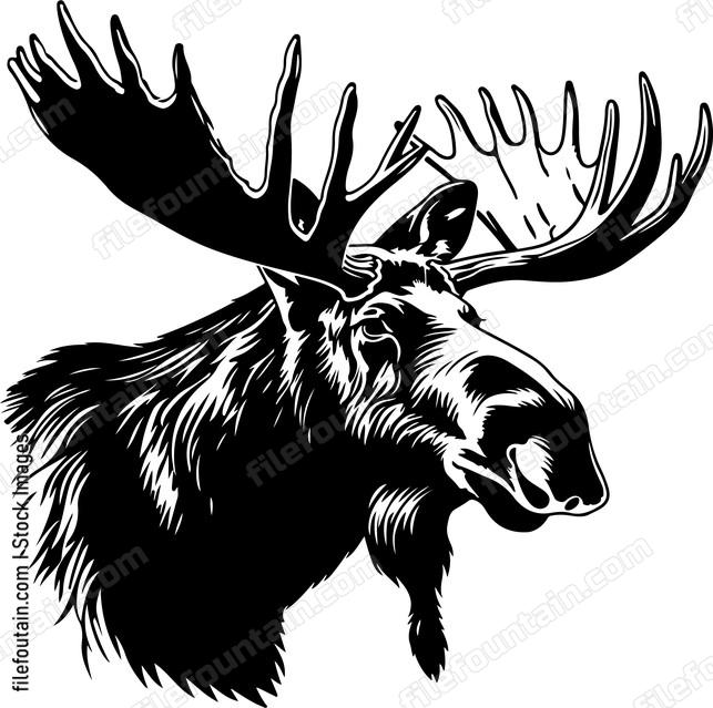European Moose