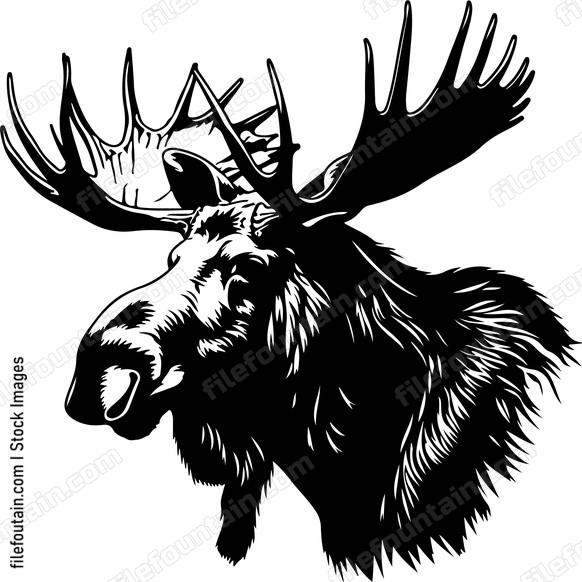 European Moose
