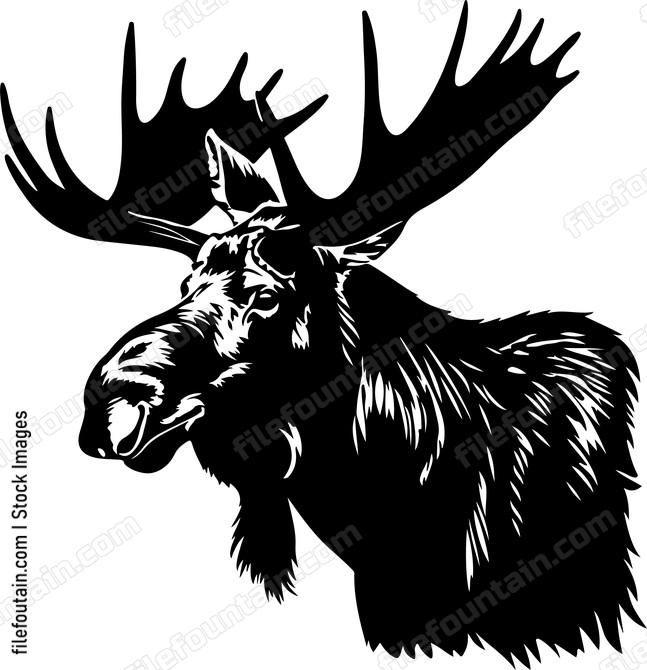 European Moose