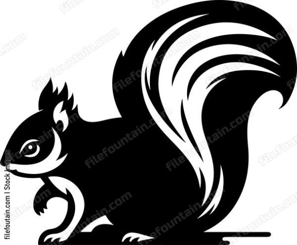 European Squirrel