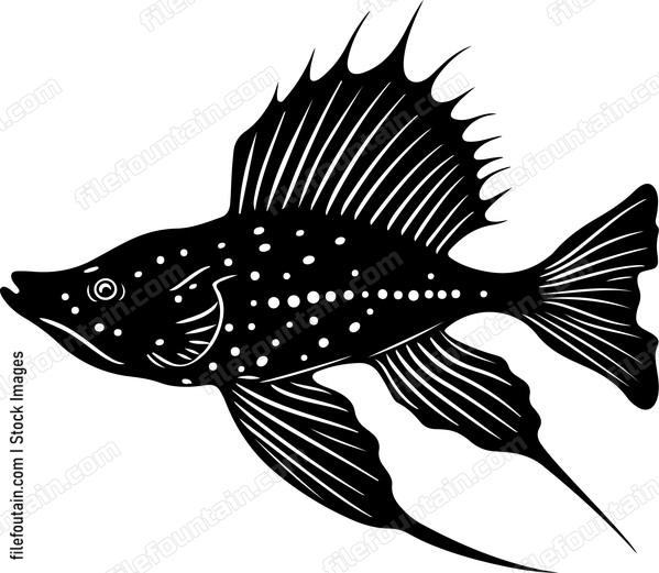 Exotic Aquarium Fish