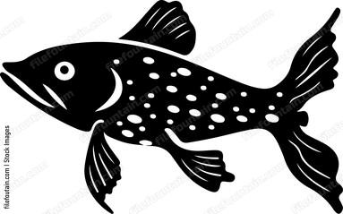 Exotic Aquarium Fish