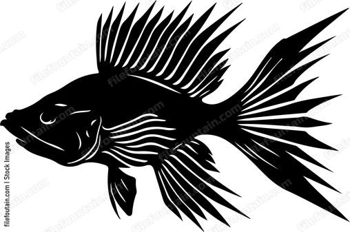 Exotic Aquarium Fish