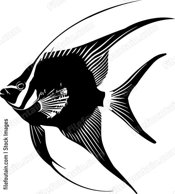 Exotic Aquarium Fish