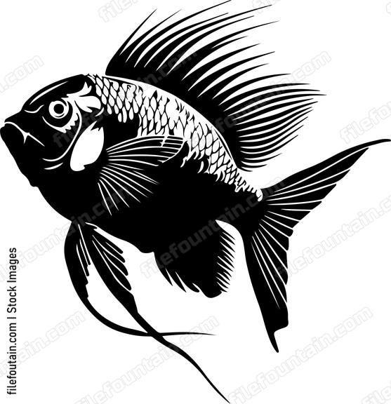 exotic fish
