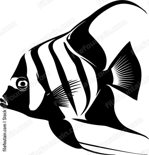 Exotic Fish