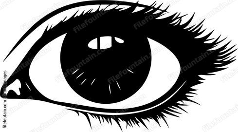 Eye