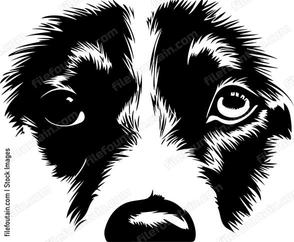 Eyes Of A Dog
