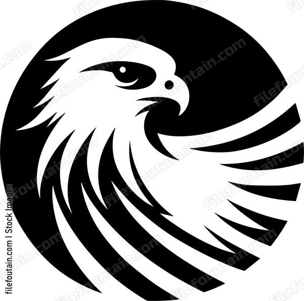 Falcon