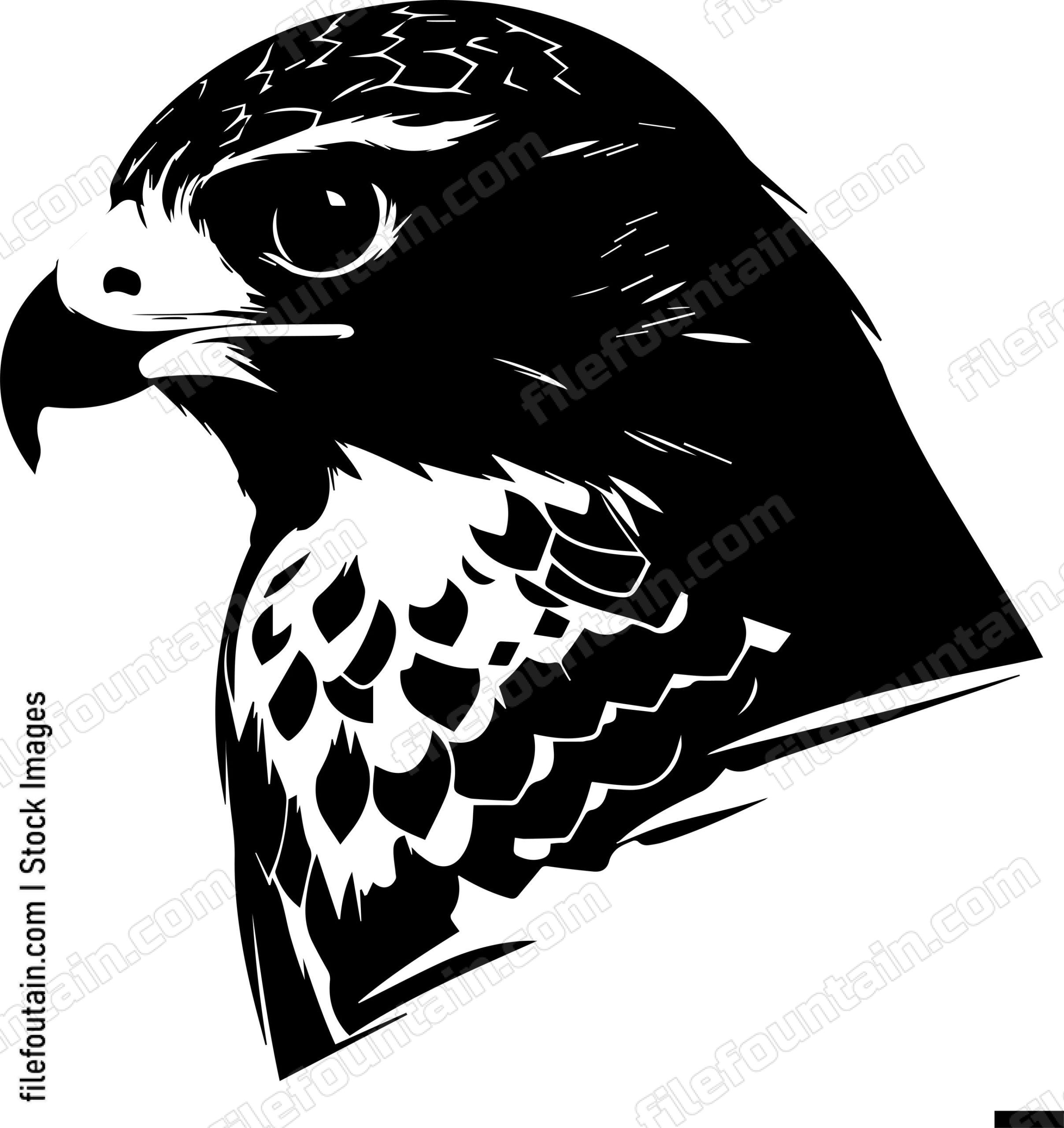 falcon