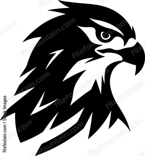 falcon