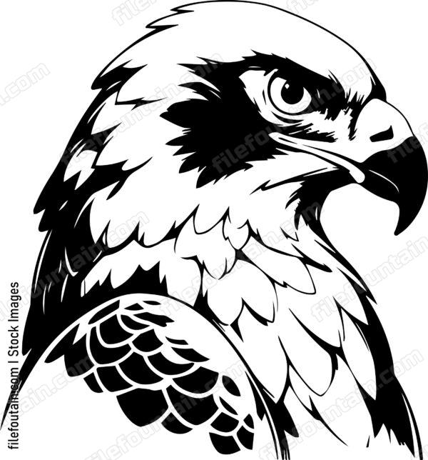 falcon