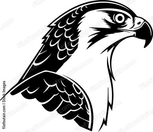 falcon
