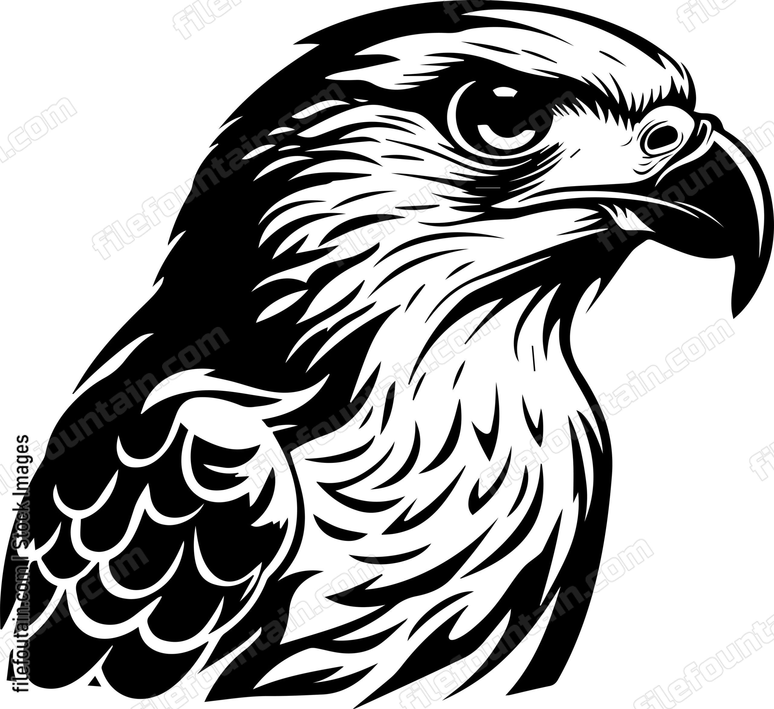 Falcon