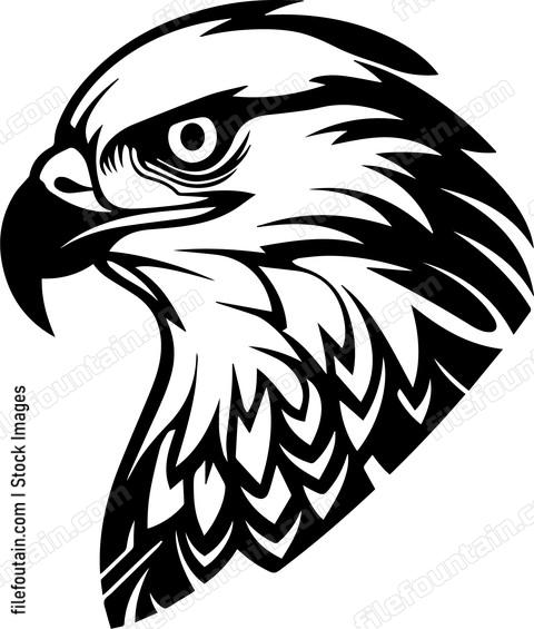 falcon