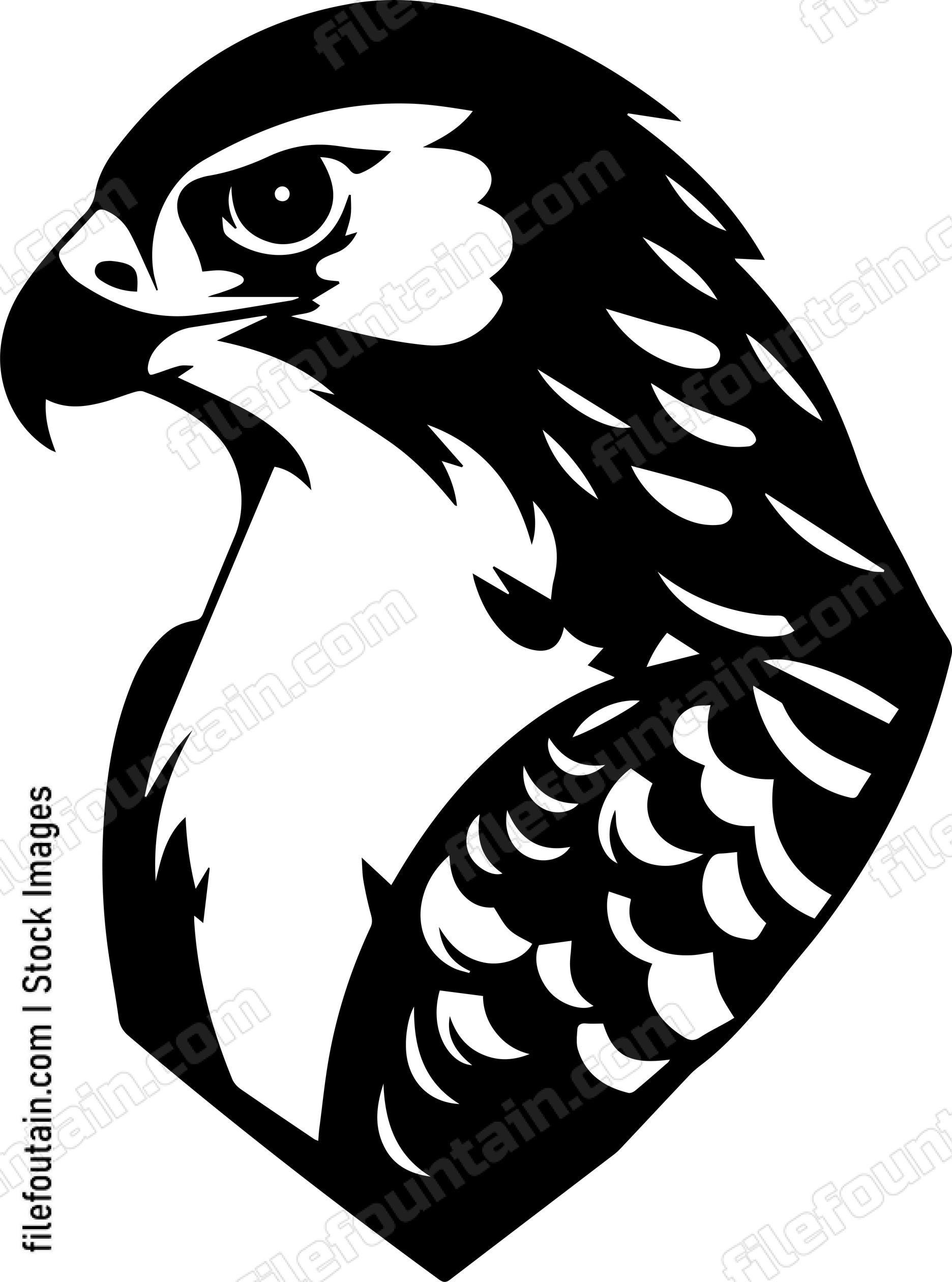 falcon