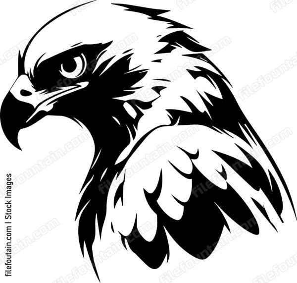 falcon