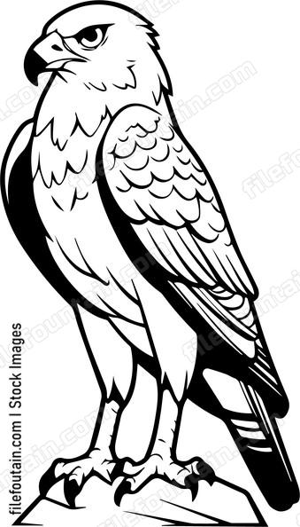 falcon