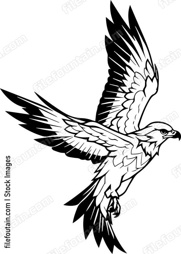 falcon