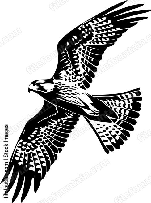 Falcon Flying