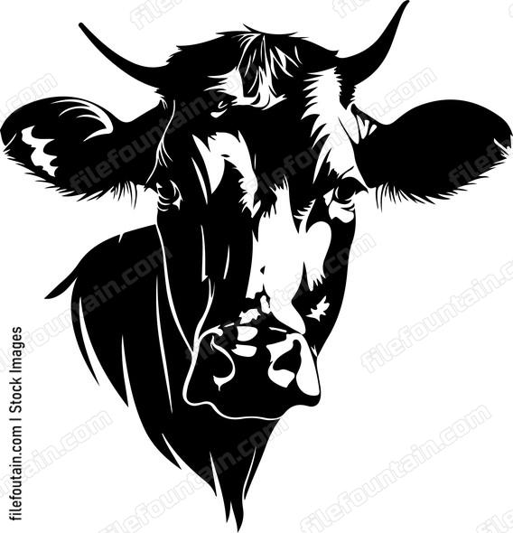 Farm Animals
