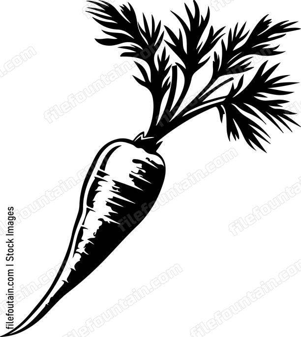 Farm fresh vegetable