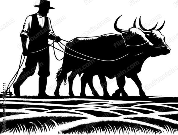 Farmer guiding a team of oxen in a field