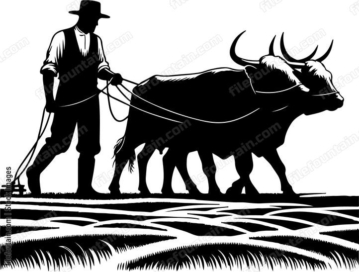 Farmer guiding a team of oxen in a field