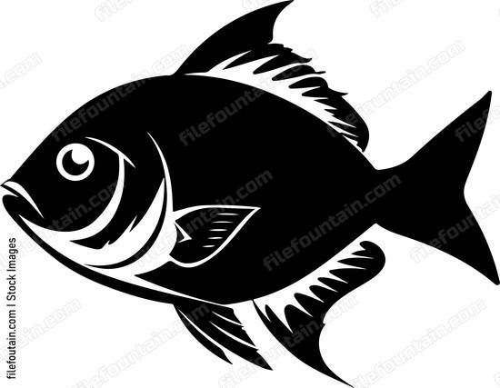 fish graphic