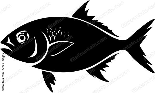 Fish ocean animal sea creature aquatic life