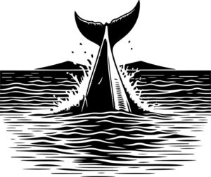 Fish tail fin breaking the surface as it dives