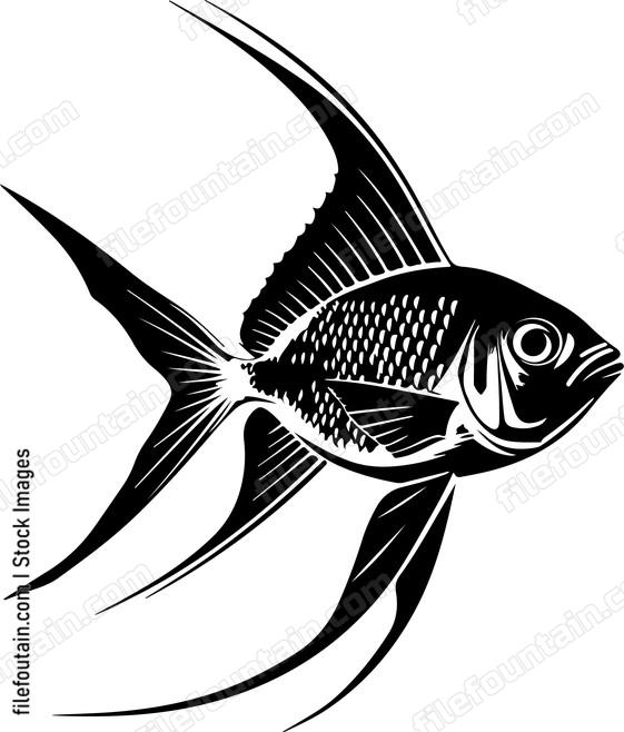 Fish with large fins