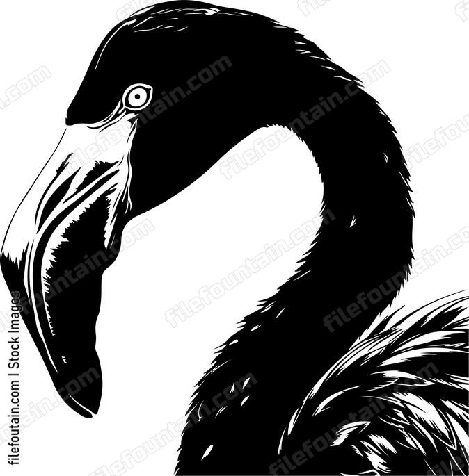 Flamingo Head
