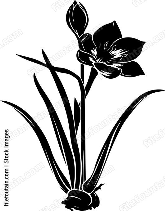 flower plant