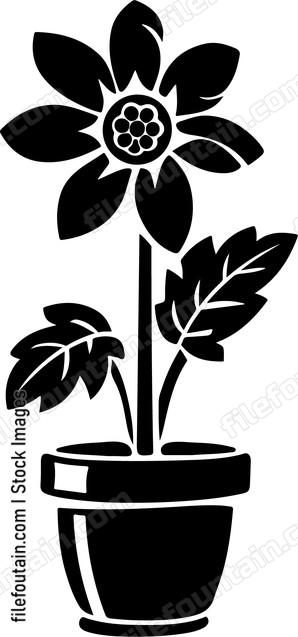Flower Pot