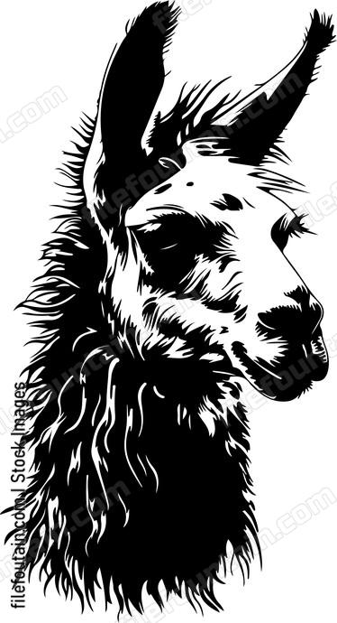 Fluffy llama head sketch