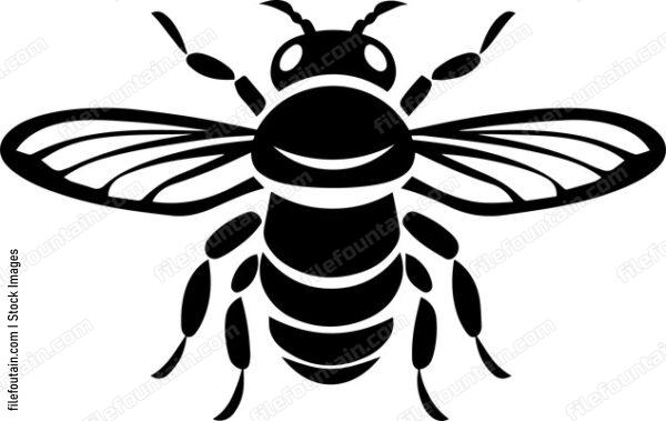 Fly